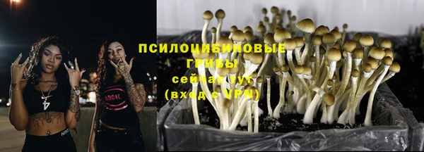 стафф Магадан
