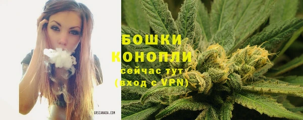стафф Магадан